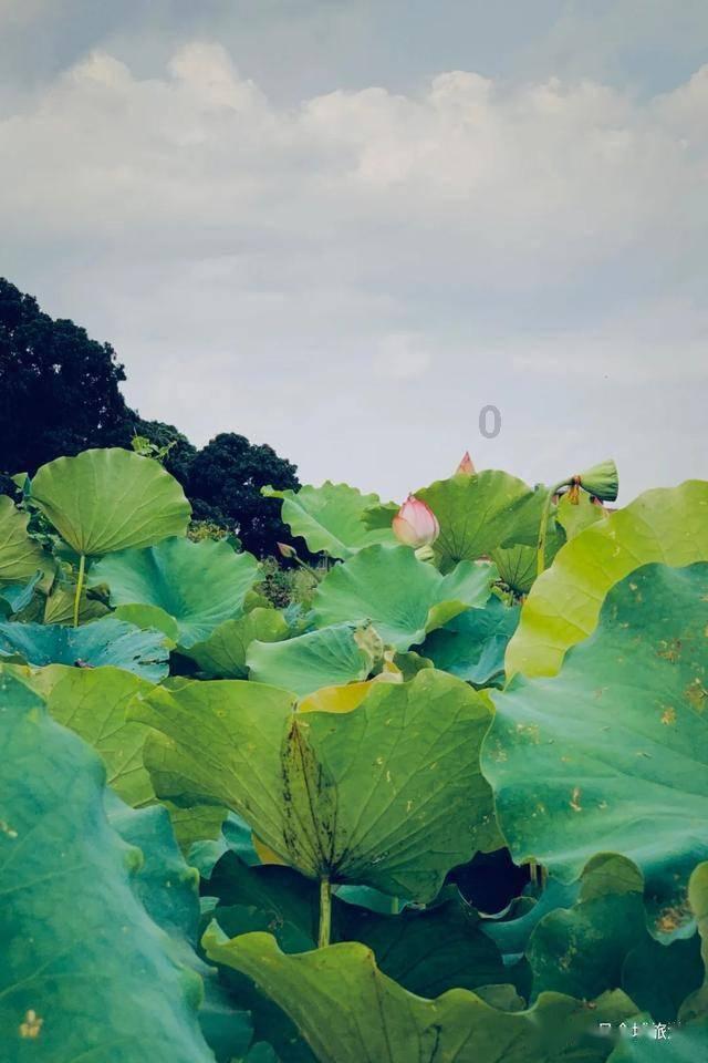 五四运动：民众的觉醒